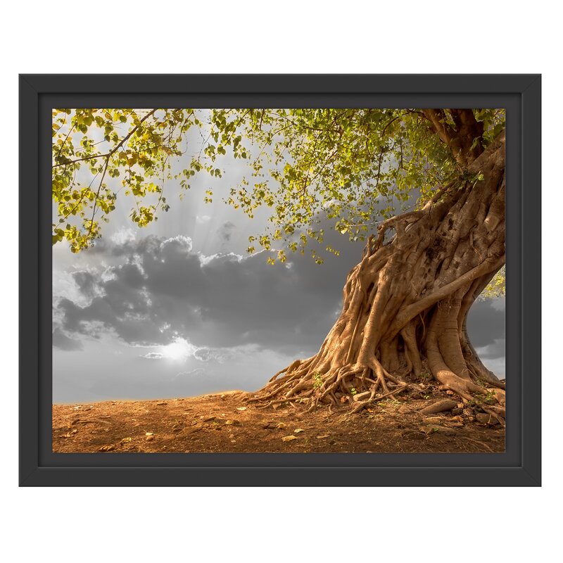 East Urban Home Gerahmtes Wandbild Baum | Wayfair.de